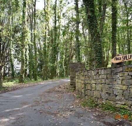 Finca Salvador Baralla Dış mekan fotoğraf