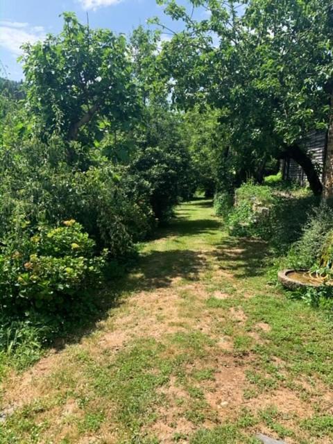Finca Salvador Baralla Dış mekan fotoğraf
